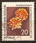 Stamps : Europe : Germany :  Exposición Internacional de Horticultura 1961,dos dalias (DDR).