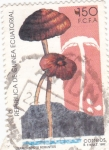 Sellos de Africa - Guinea Ecuatorial -  termitomyces robustus