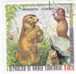 Sellos de Africa - Guinea Ecuatorial -  PROTECCION DE LA NATURALEZA -Marmota-Europa