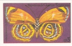 Stamps Equatorial Guinea -  mariposa