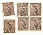 Sellos de Oceania - Australia -  Australia postage kookaburra