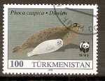 Stamps Turkmenistan -  FOCA   MADRE   CON   SU   CRIA