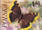 Sellos de Europa - Polonia -  mariposas