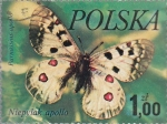 Stamps Poland -  mariposas