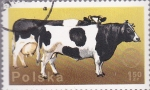 Stamps Poland -  vaca