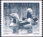 Stamps Sweden -  AVES ACUÁTICAS. GAVIA ÁRTICA