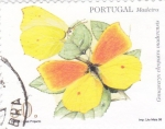 Stamps Portugal -  Madeira-mariposa