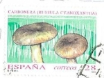 Stamps Spain -  Micología.Carbonera