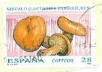 Stamps Spain -  Micología.Niscalo