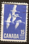 Stamps Canada -  Gansos de Canadá.