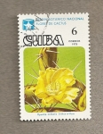 Stamps Cuba -  Jardín Botánico, flor de cactus