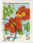 Sellos del Mundo : America : Cuba : Rosa Eglanteria var. Punicea