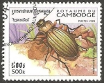 Stamps Cambodia -  1566 - coleóptero carabus auronitens