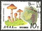 Stamps North Korea -  champiñón y fruta salvaje