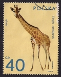 Stamps Poland -  Jirafa