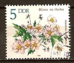 Stamps Germany -  Anemone hupehensis-Flores de Otoño-DDR.