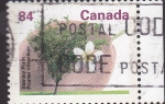 Stamps Canada -  flores