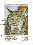 Stamps Spain -  Fauna Española en peligro de extinción.