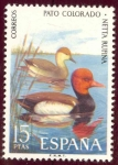 Sellos de Europa - Espa�a -  1973 Fauna Hispanica. Patyo Colorado - Edifil:2138