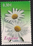 Stamps Europe - Spain -  Flora y fauna- Margarita