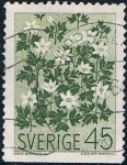 Sellos de Europa - Suecia -  FLORES SALVAJES DE LOS PAISES NÓRDICOS. ANÉMONA DE LOS BOSQUES. Y&T Nº 591