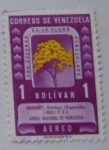 Stamps Venezuela -  FLORA