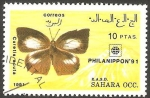 Sellos de Africa - Marruecos -  Mariposa curetis acuta