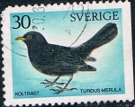 Stamps Sweden -  PÁJAROS DIVERSOS.MIRLO COMÚN (TURDUS MERULA). Y&T Nº 673