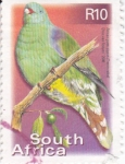 Stamps South Africa -  ave