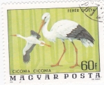 Stamps Hungary -  aves