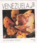 Stamps Venezuela -  scuticaria steelei