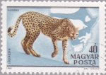 Stamps Hungary -  