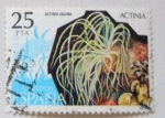 Stamps Spain -  ACTINIA