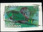 Stamps Bahamas -  S.Parrofish