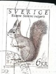 Stamps Sweden -  Ardilla