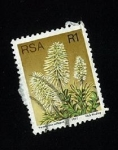 Stamps South Africa -  Paranomus Reflexus