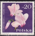 Stamps Poland -  