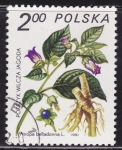 Stamps Poland -  