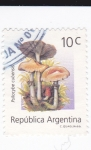 Sellos de America - Argentina -  Psilocybe cubensis