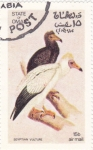 Stamps Oman -  Egyptian  Vulture