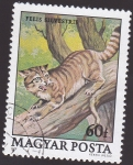 Stamps Hungary -  gato silvestre