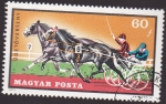 Stamps Hungary -  caballos