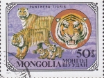 Sellos de Asia - Mongolia -  tigres