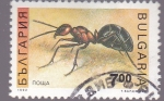 Stamps Bulgaria -  insectos- hormiga