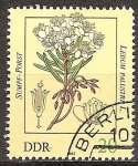 Stamps Germany -  Las plantas venenosas-té labrador, Ledum palustre-DDR