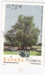 Stamps Spain -  Arboles monumentales-Ahuehuete Jardines del Retiro  (Madrid)  (B)