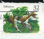 Stamps United States -  Eohippus