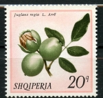 Stamps Albania -  Frutos