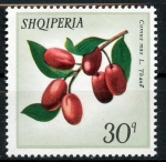 Stamps Albania -  Frutos