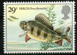 Stamps United Kingdom -  Pescado, perca